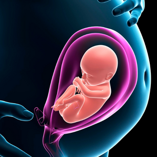 International Journal of Obstetrics Gynecology and Reproductive Sciences