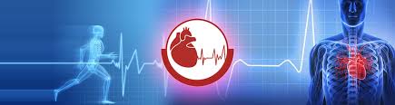 International Journal of Cardiology Research and Cardiovascular Diseases